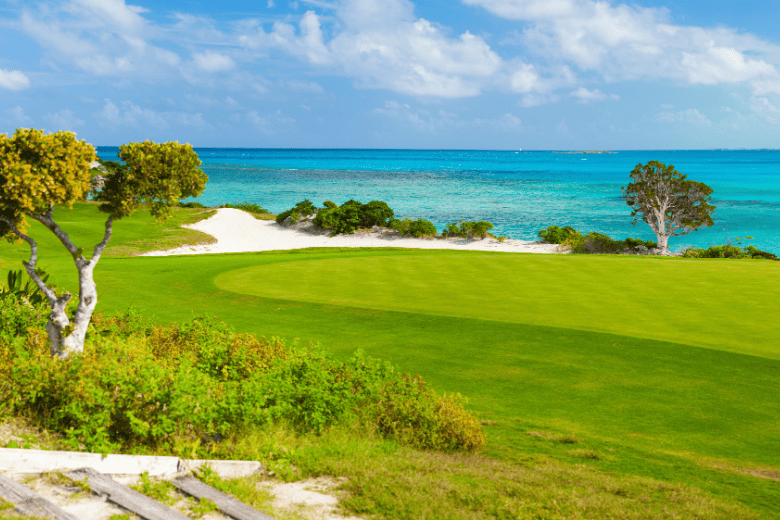 Things To Do https://nestvacationrentals.icnd-cdn.com/images/thingstodo/Wild_Dunes_Golf_Courses.png